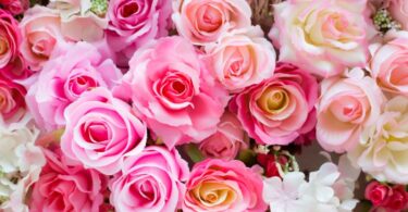 fiori per anniversario matrimonio