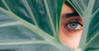 beauty trend