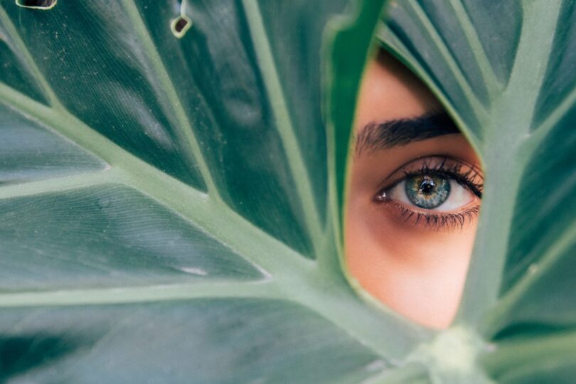 beauty trend