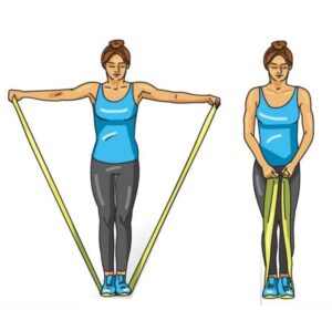 esercizi con elastici