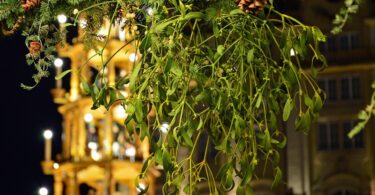 baciarsi sotto il vischio