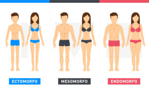 somatotipo significato